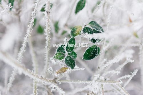 关于立冬时节的经典古诗词