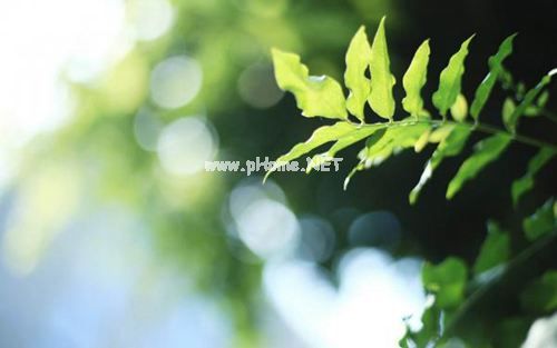 2023年唯美心情说说：明明不是陌生人，却装旳比陌生人还陌生