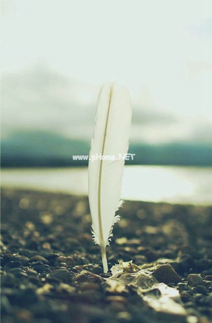 用提心吊胆怎么造句子 提心吊胆的反义词和近义词 提心吊胆的意思
