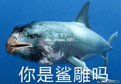 高质量沙雕个性网名
