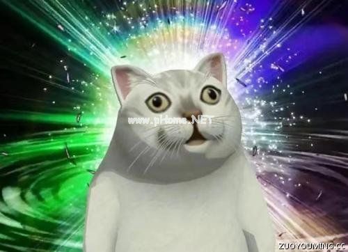 沙雕个性签名文案