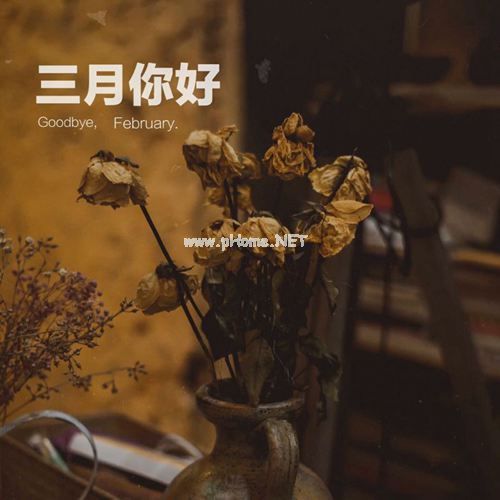 二月再见三月你好
