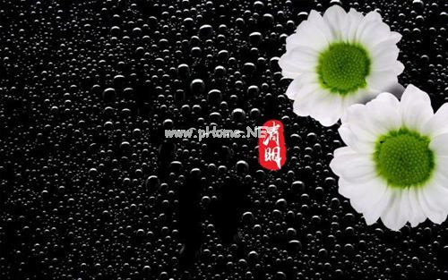 清明节思念亲人的句子  清明时节,思念是一点一滴