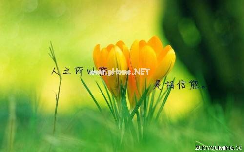 8字简短励志座右铭