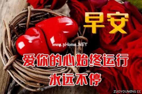 情侣早安问候搞笑特别文案