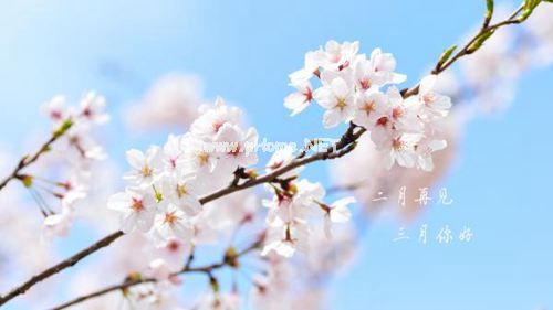 和二月说声再见,与三月道一声你好的唯美说说