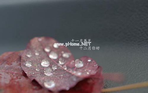道一声十一月再见，说一声十二月你好的唯美说说