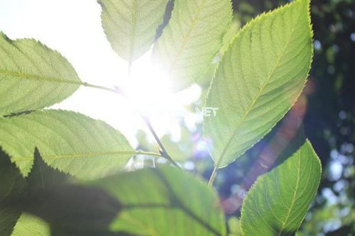 十一月愿你被温柔以待的好运说说