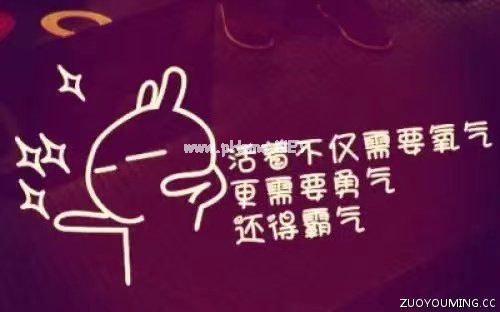 搞笑霸气座右铭