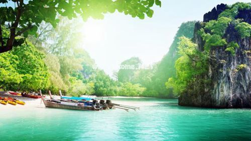2023年春天来了的唯美说说  春,绝对是一桢浸染着生命之色的画布