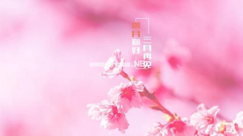 4月你好的心情说说句子 四月发朋友圈正能量语录