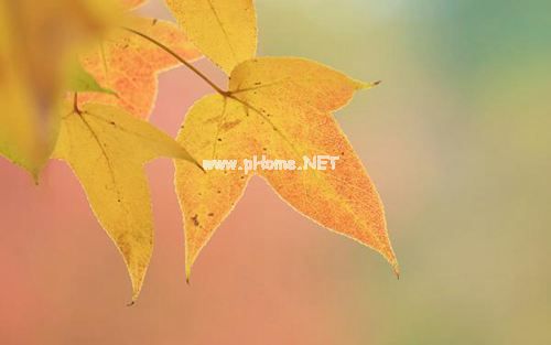 抖音上致自己现实又励志的说说