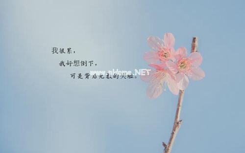 分手后安慰人的幽默说说 旧的不去新的不来