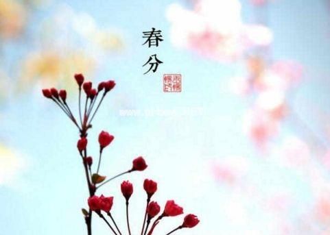 今日春分,一起迎接春天的配图句子说说