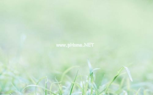 用一句话宣布恋爱