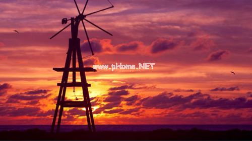 2023抖音网红经典句子 安慰别人头头是道,安慰自己全是苦笑
