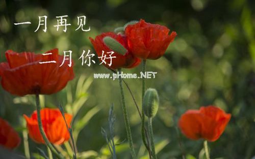 1月再见,2月你好发微信朋友圈的句子