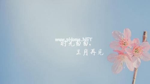 三月再见,四月你好的文艺唯美说说  蓦然回首,后面有猫也有狗