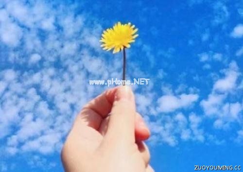 早上发圈吸引人的句子