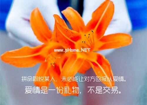 党支部换届选举主持词 工会换届选举主持词 妇联换届选举主持