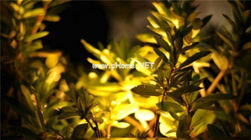最美伤心现代情诗大全 爱情 含徐志摩七首
