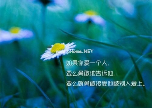 描写绿色的优美句子 蓝天底下，满眼绿色，一直铺向远方