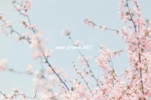 有趣的字谜体现汉字谐音歇后语笑话大全3