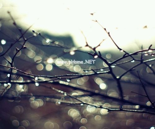 描写雨中漫步的唯美短句子 雨天的心情经典句子
