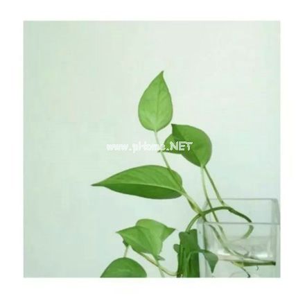 中秋节<a href=/xueshengzuowen/ target=_blank class=infotextkey>作文</a>好词好句大全