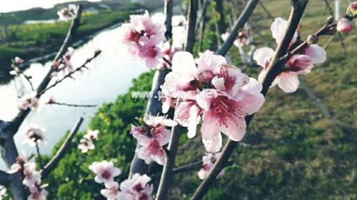 层峦叠翠造句 层峦叠翠的意思 层峦叠翠的拼音