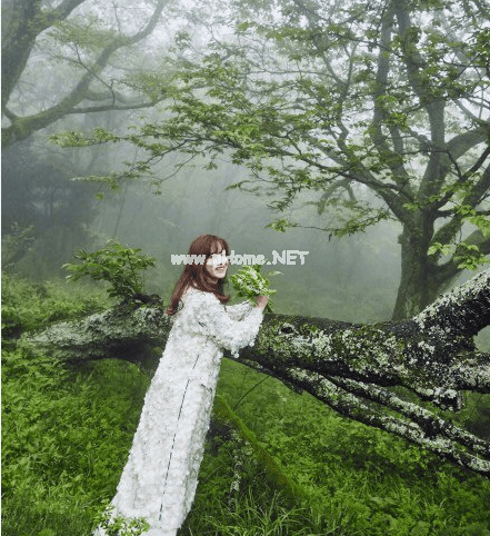 得意忘形的意思 得意忘形造句 得意忘形的反义词和近义词
