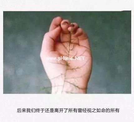成龙霸王洗发水广告词原版和搞笑恶搞版