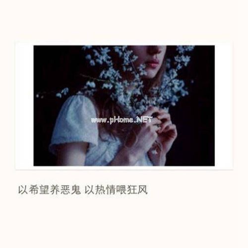 和狗有关的俗语歇后语大全