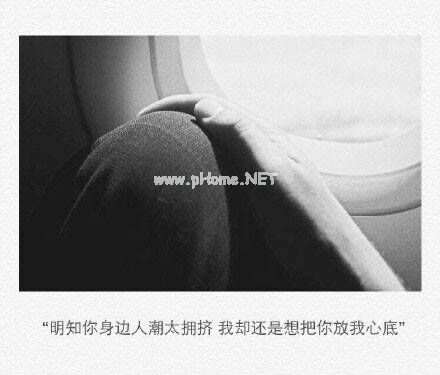 形容赞美花儿盛开的成语大全及解释