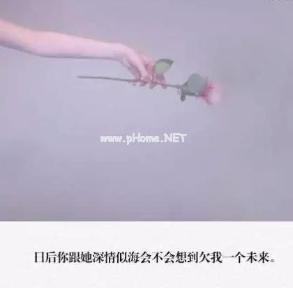 最新2023年国窖1573的经典广告词大全
