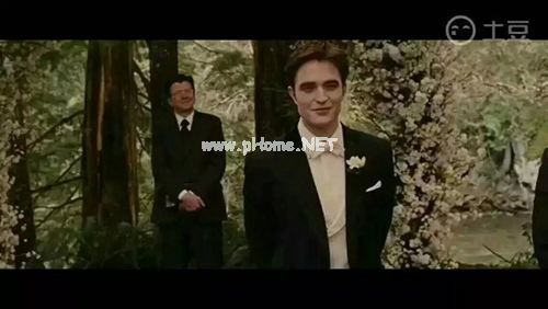 谚语猪鼻子插葱的歇后语是什么意思,下一句