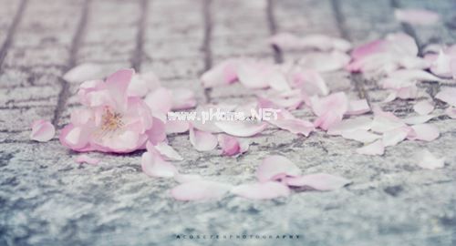 一句话关于做人的道理好句子摘抄大全,做人的心态说说大全12