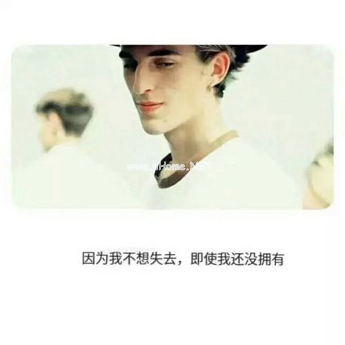 描写春天和夏天树林的优美句子和段落大全摘抄2