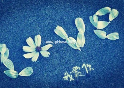 严寒造句 严寒怎么造句 用严寒造句大全