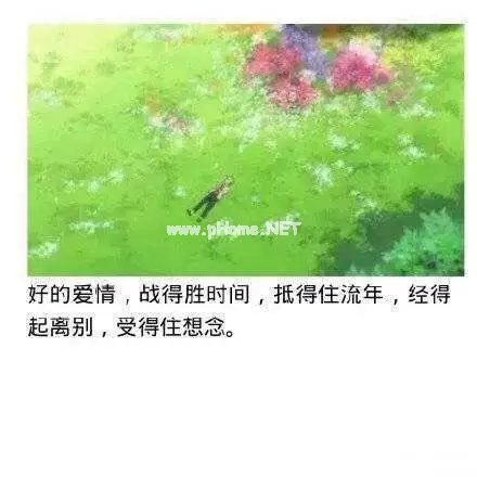 笨鸟先飞的意思 笨鸟先飞造句 笨鸟先飞的故事的领悟