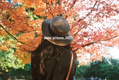 似乎造句大全 似乎的拼音 似乎的意思