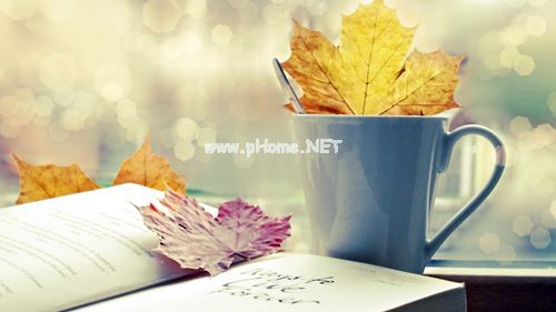团结的谚语或俗语有哪些 二年级团结的谚语大全