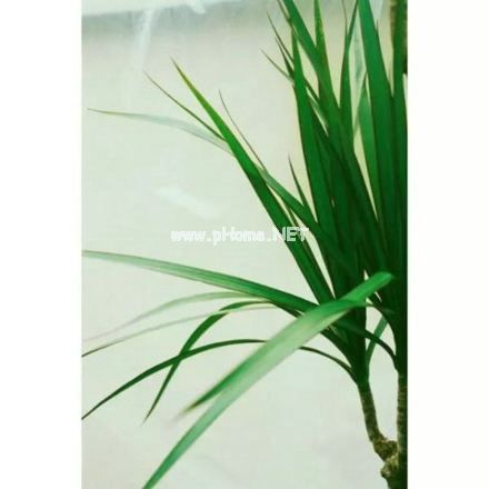 关于中秋节的好词好句子
