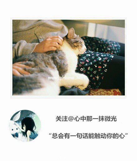 睚眦必报的意思,睚眦必报的读音,睚眦必报造句