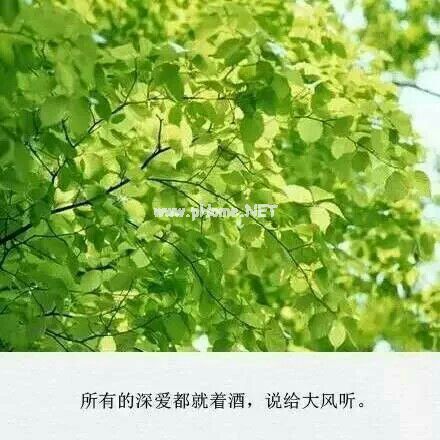 中秋节月饼促销活动广告语,超市中秋国庆节广告语集锦