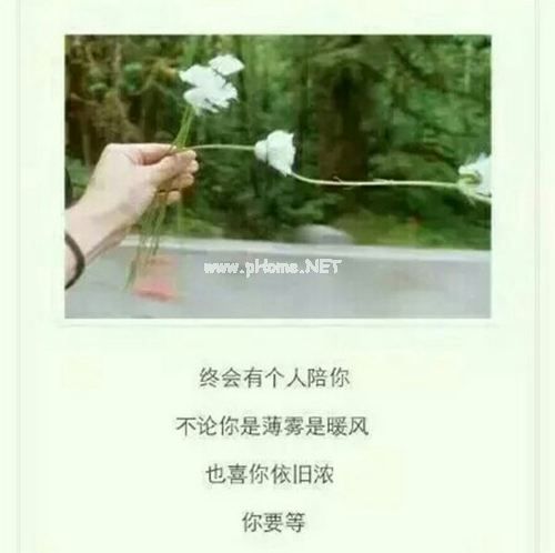 如虎添翼的意思和造句_如虎添翼的同义词和近义词