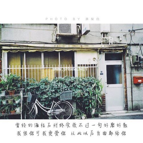 捉襟见肘的意思,捉襟见肘造句,捉襟见肘的近义词同义词