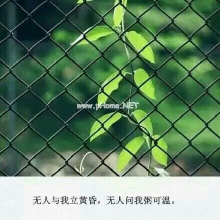 欢庆中秋世界名牌灯具品牌经典广告语大全