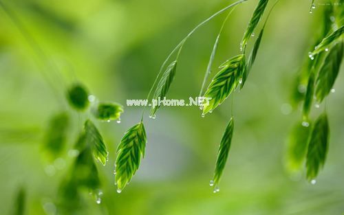 让人心旷神怡的句子 让人神清气爽的句子