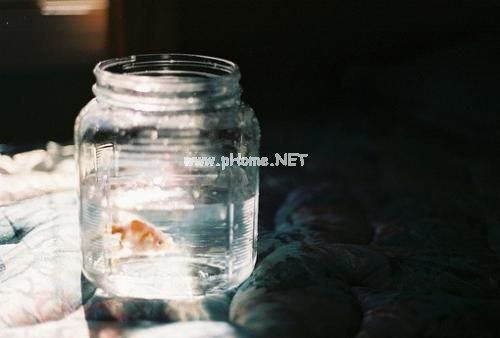 爱却要放手的个性签名